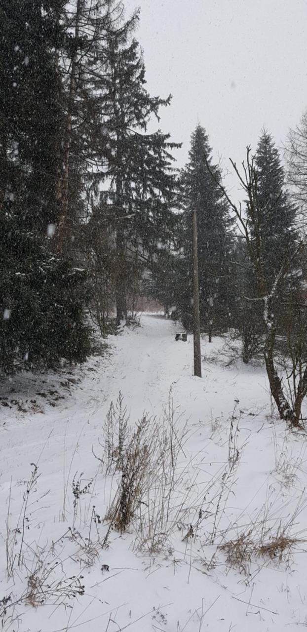 Chata Na Kovarne Rýmařov Εξωτερικό φωτογραφία